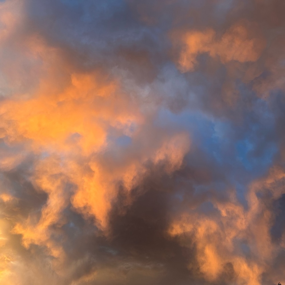 Meet your Posher, Posh